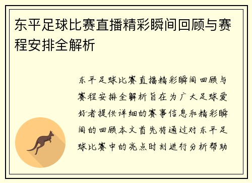 东平足球比赛直播精彩瞬间回顾与赛程安排全解析